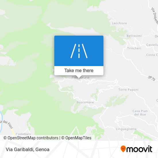 Via Garibaldi map