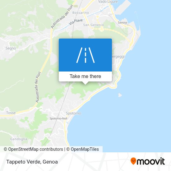 Tappeto Verde map