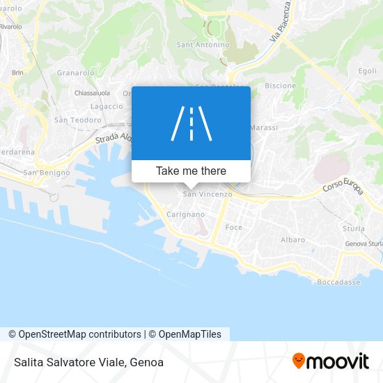 Salita Salvatore Viale map