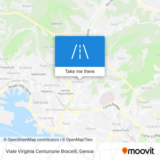 Viale Virginia Centurione Bracelli map