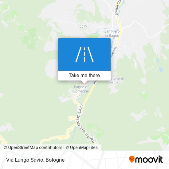 Via Lungo Savio map