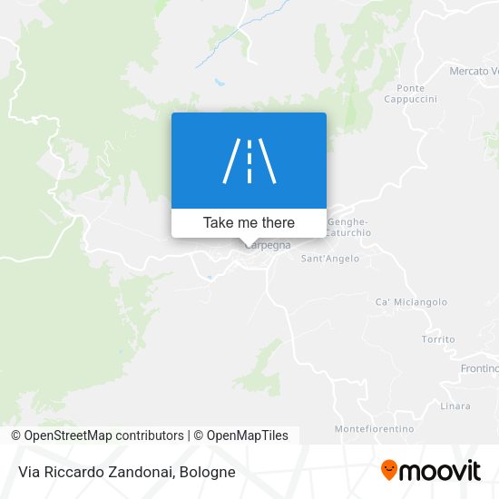 Via Riccardo Zandonai map