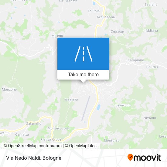 Via Nedo Naldi map