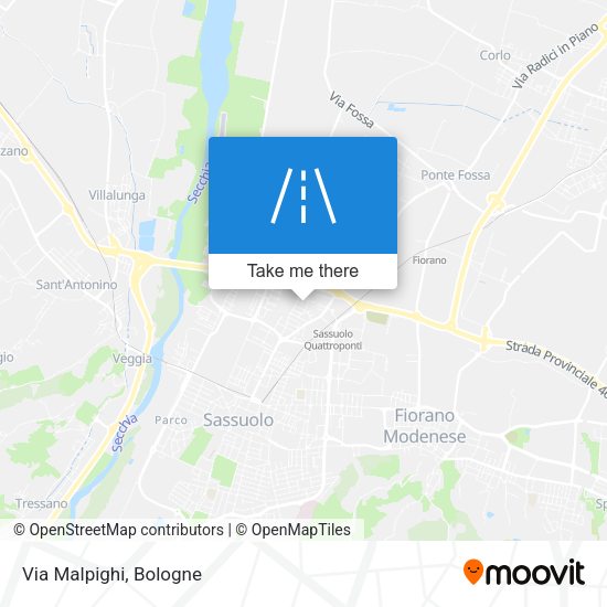 Via Malpighi map