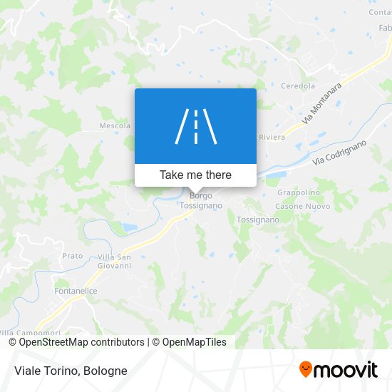 Viale Torino map