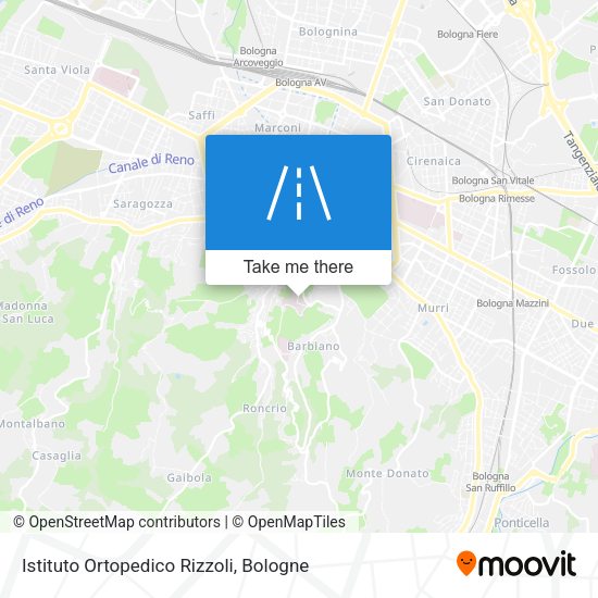 Istituto Ortopedico Rizzoli map