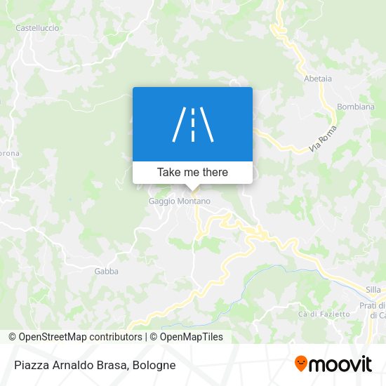 Piazza Arnaldo Brasa map