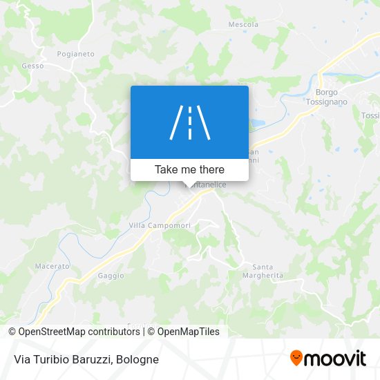Via Turibio Baruzzi map