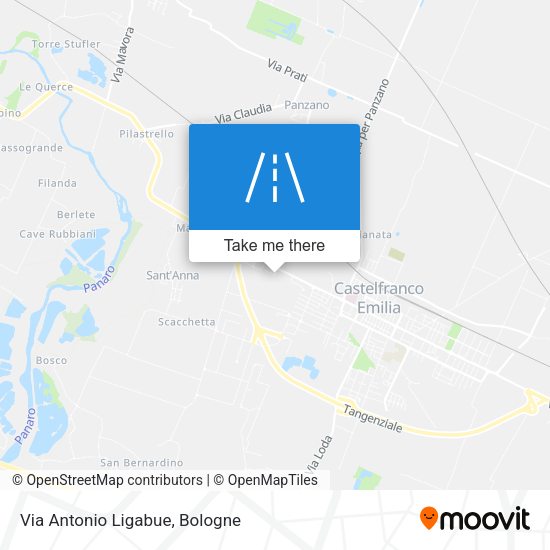 Via Antonio Ligabue map