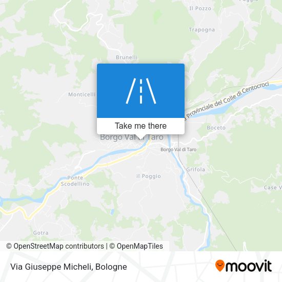 Via Giuseppe Micheli map