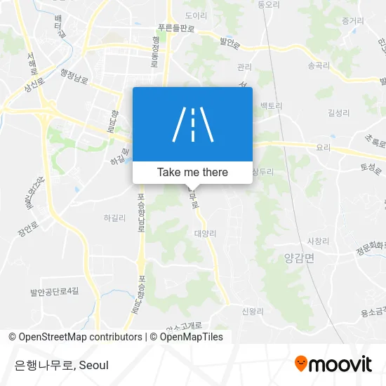 은행나무로 map