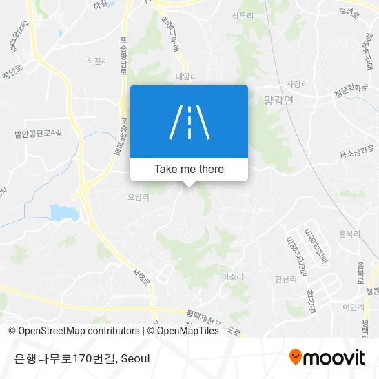 은행나무로170번길 map