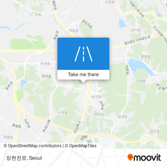 장현천로 map