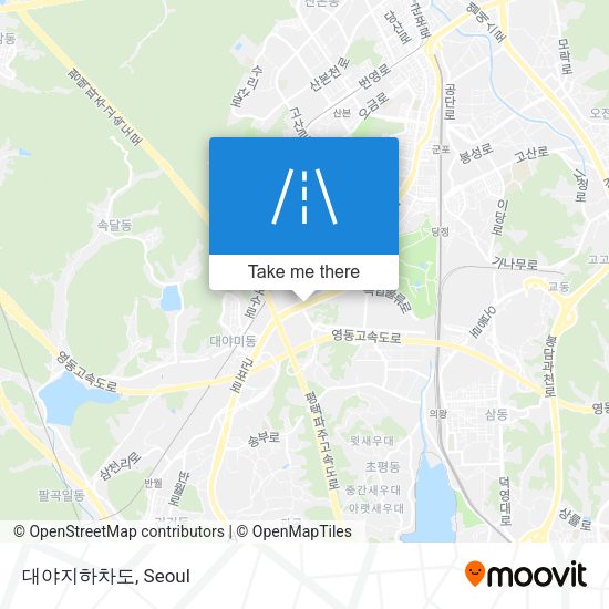 대야지하차도 map