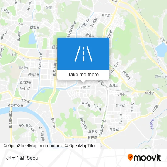 천문1길 map