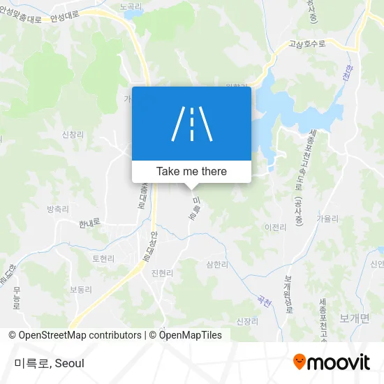미륵로 map
