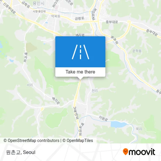 원촌교 map