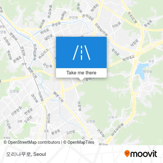 오리나무로 map