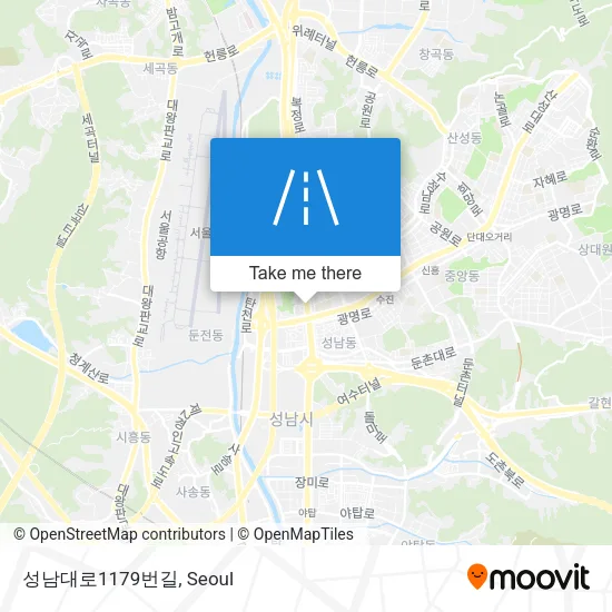성남대로1179번길 map