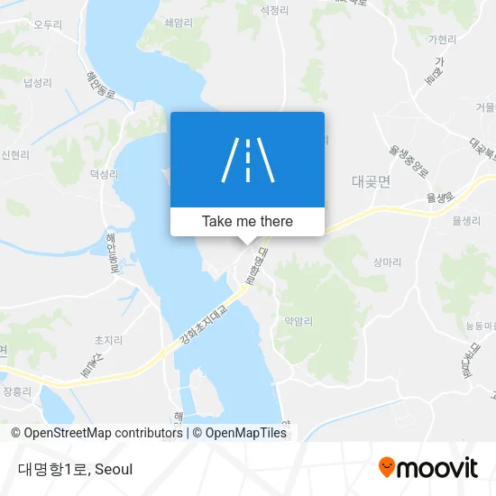 대명항1로 map