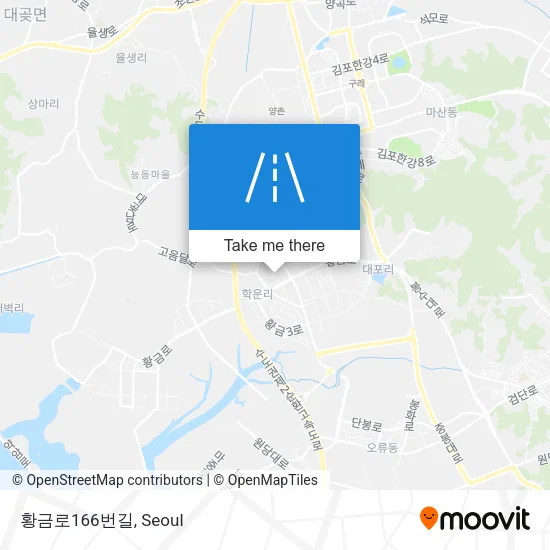 황금로166번길 map