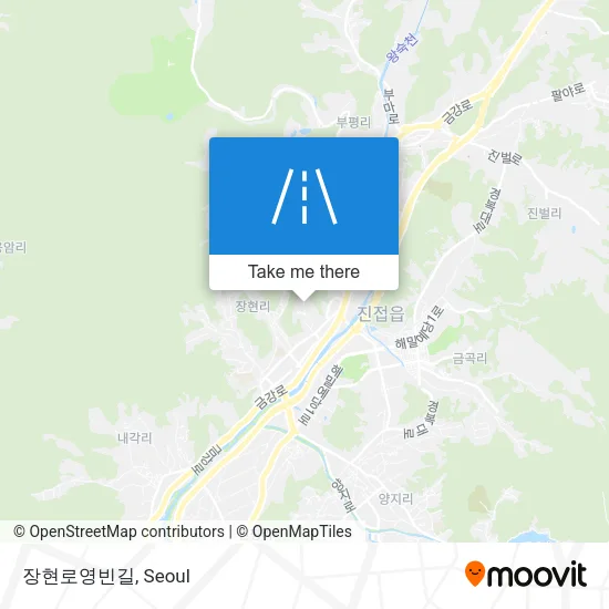 장현로영빈길 map
