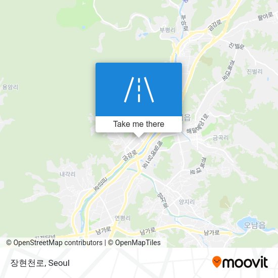 장현천로 map