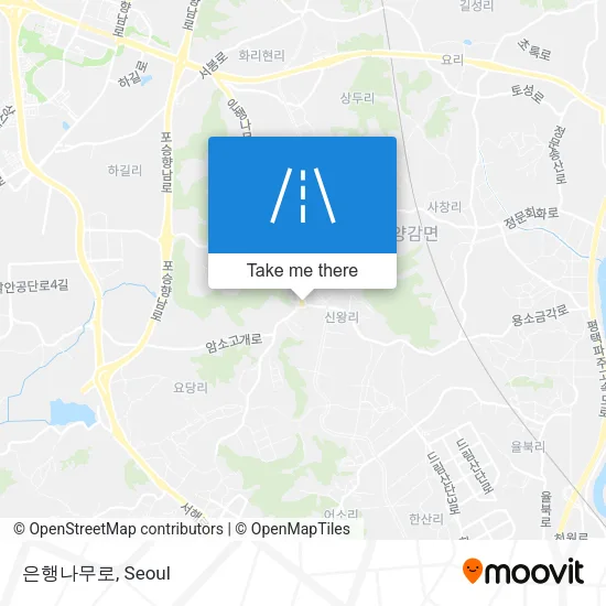은행나무로 map
