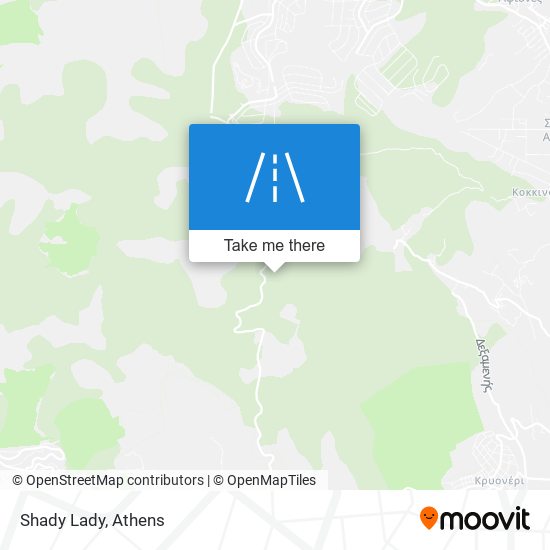 Shady Lady map