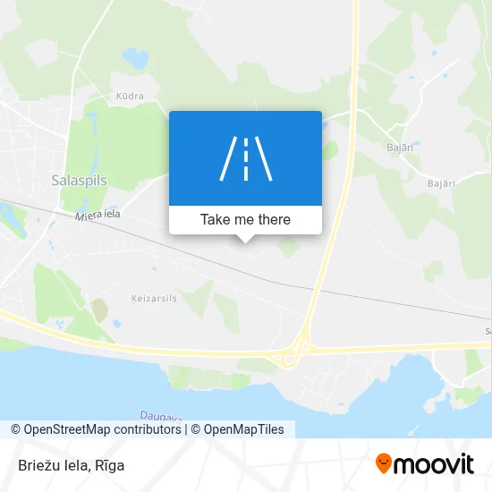 Briežu Iela map