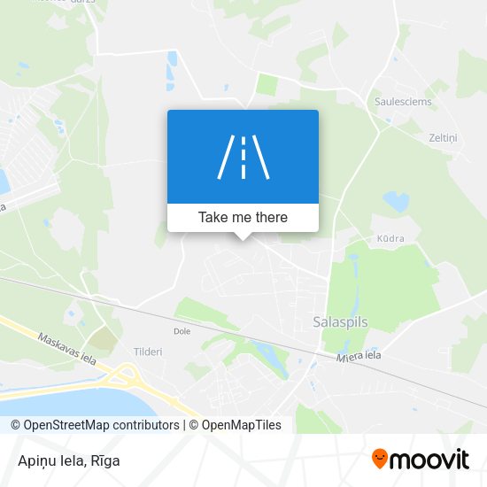 Apiņu Iela map