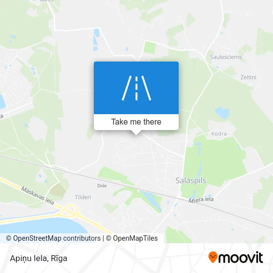 Карта Apiņu Iela