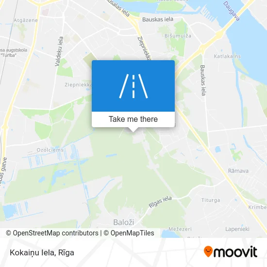 Карта Kokaiņu Iela