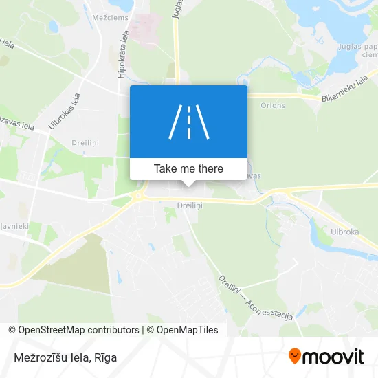 Mežrozīšu Iela map