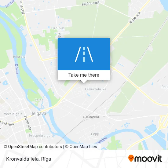 Kronvalda Iela map