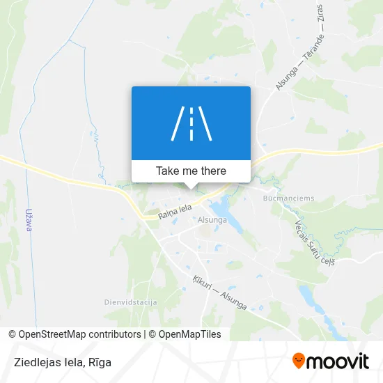 Ziedlejas Iela map