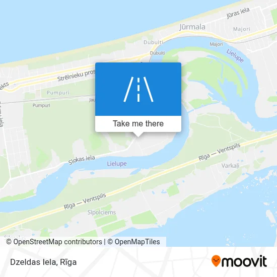 Dzeldas Iela map