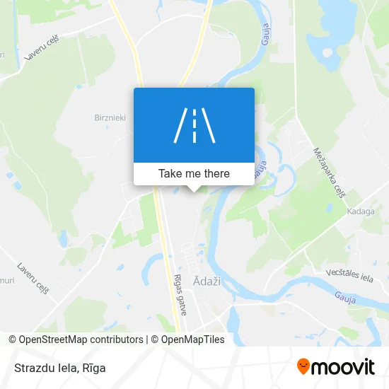Strazdu Iela map