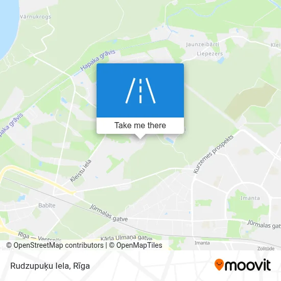 Rudzupuķu Iela map