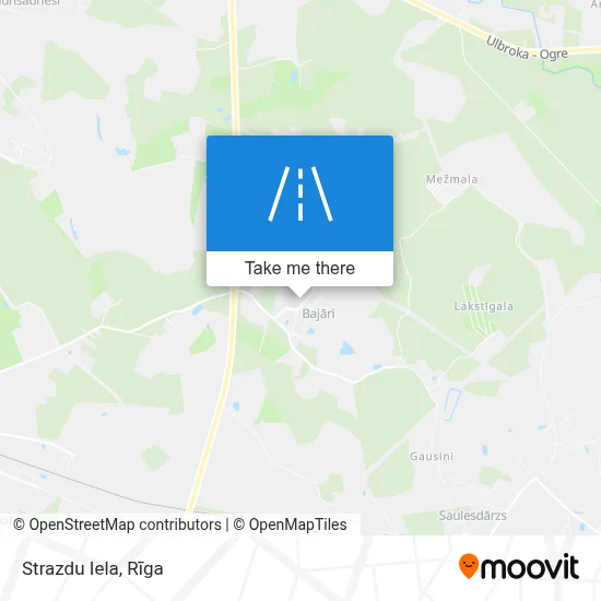 Strazdu Iela map