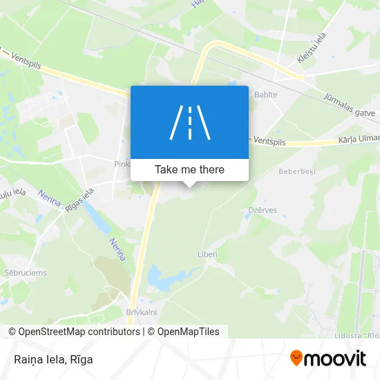 Raiņa Iela map