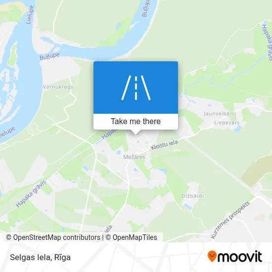Selgas Iela map