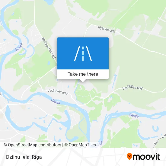 Dzilnu Iela map