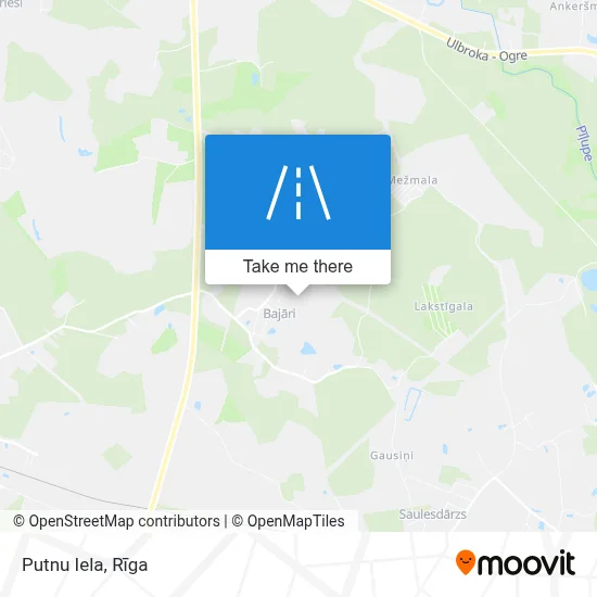 Putnu Iela map