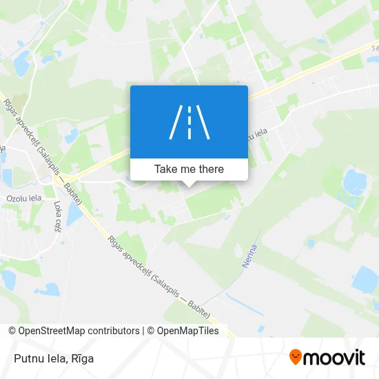 Putnu Iela map