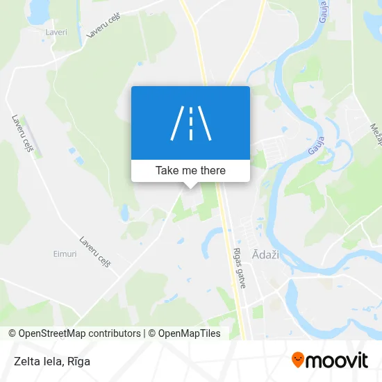Zelta Iela map