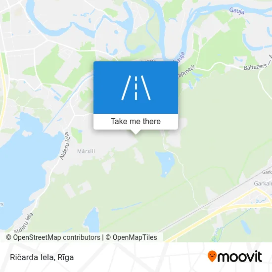 Ričarda Iela map
