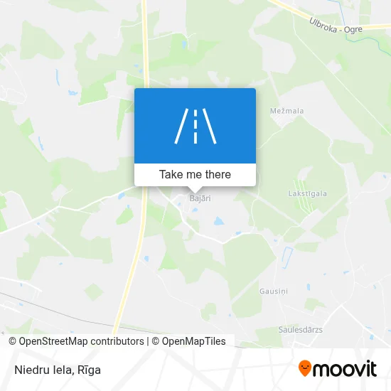 Niedru Iela map