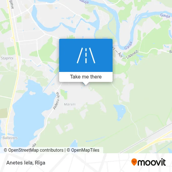 Anetes Iela map