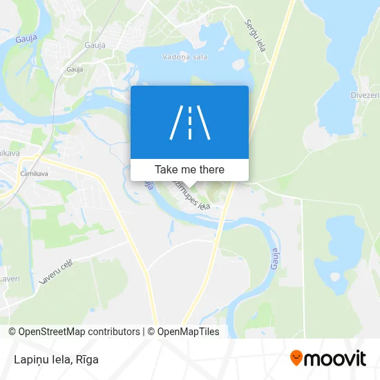 Lapiņu Iela map